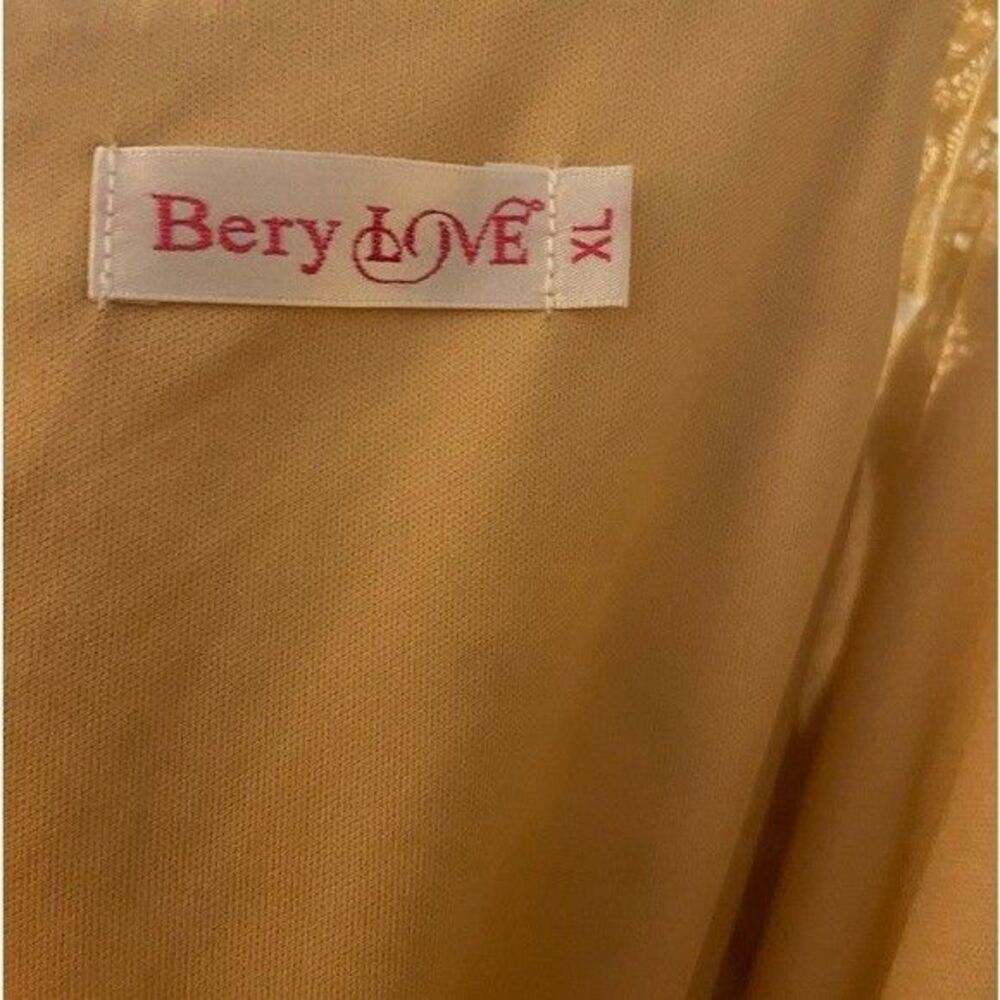 Berry Love High Low Formal Dress XL Chiffon Champagne (Formal or Wedding) - Picture 13 of 13